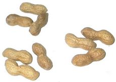 Erdnüsse-3x3.jpg
